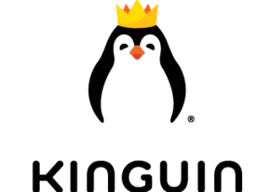 Kinguin digital gift card available on Giftcardflix